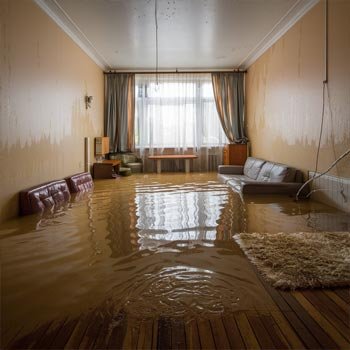 My Dallas Water Damage Restoration